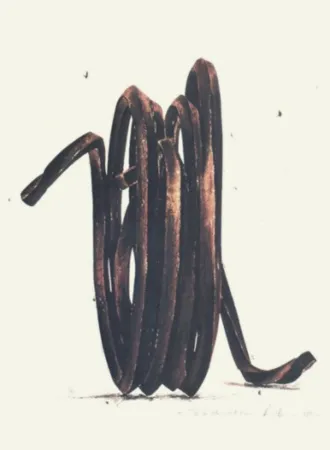 Múltiple Venet - Two Undetermined Lines