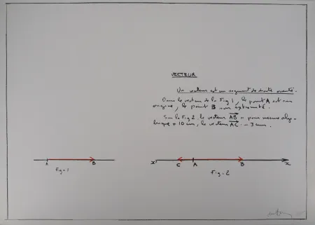 Serigrafía Venet - Un Vecteur