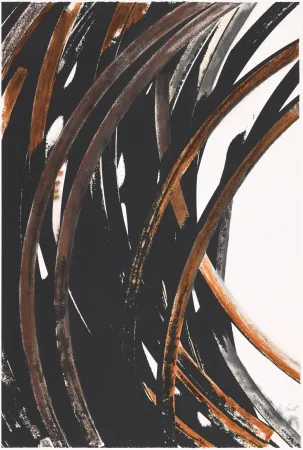 Serigrafía Venet - Untitled V (Arcs)