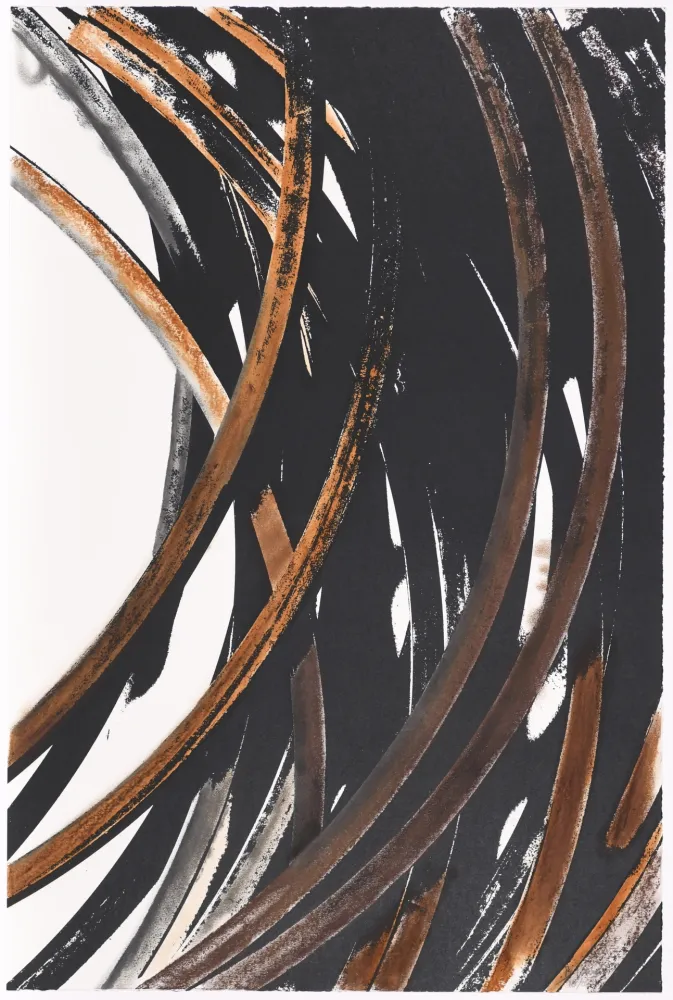 Serigrafía Venet - Untitled V bis (Arcs)