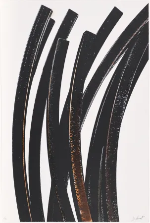 Serigrafía Venet - Untitled VII (Arcs)