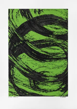 Sin Técnico Verdier - Aria 09