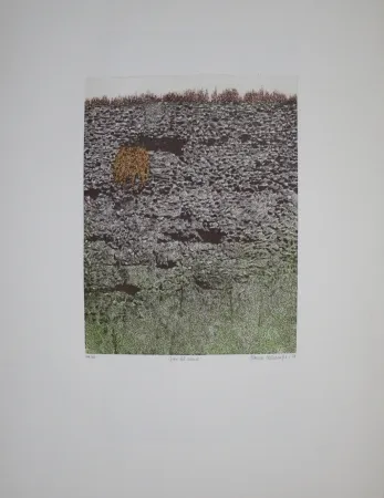 Aguafuerte Y Aguatinta Vernunft - Fiori le mura