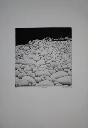 Aguafuerte Y Aguatinta Vernunft - Steinblüten