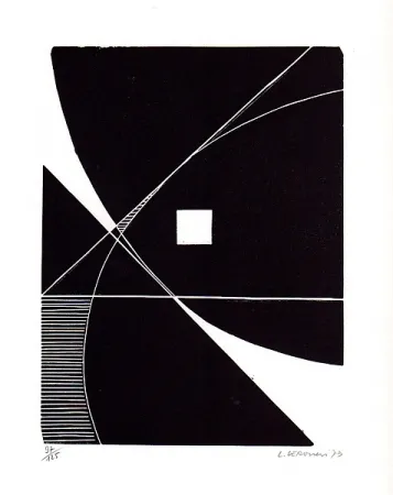 Libro Ilustrado Veronesi - Le lucertole blu