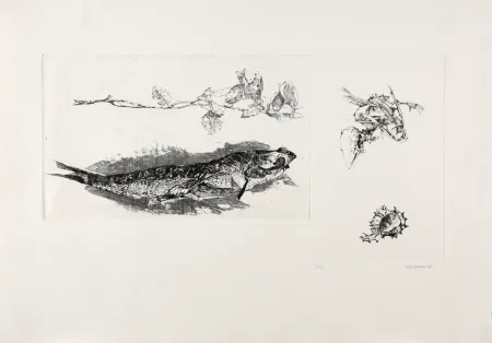 Grabado Vespignani - Studi