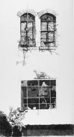 Aguafuerte Vespignani - Tre finestre
