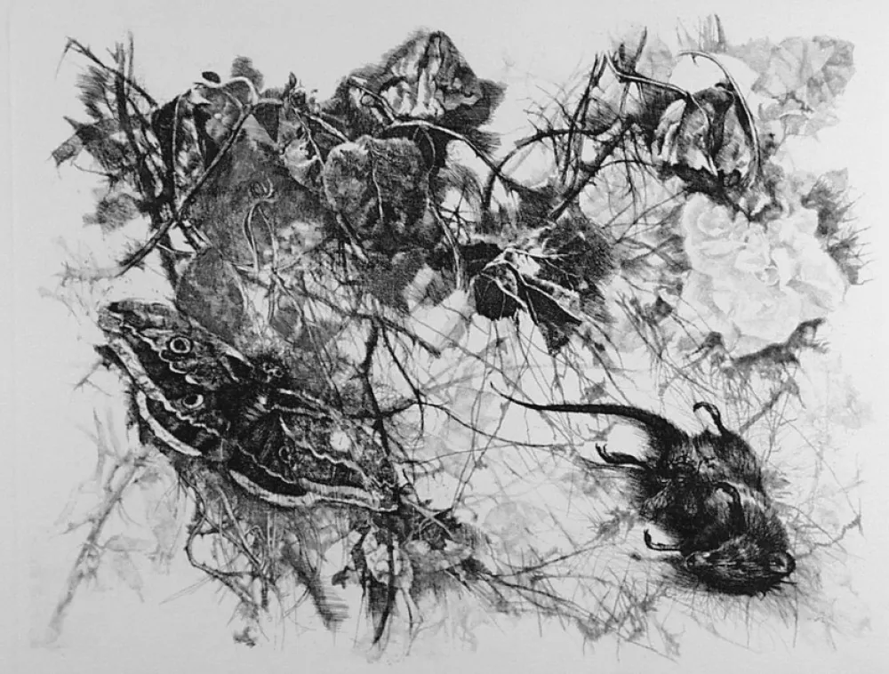 Aguafuerte Vespignani - Zibaldone (Per Leopardi)