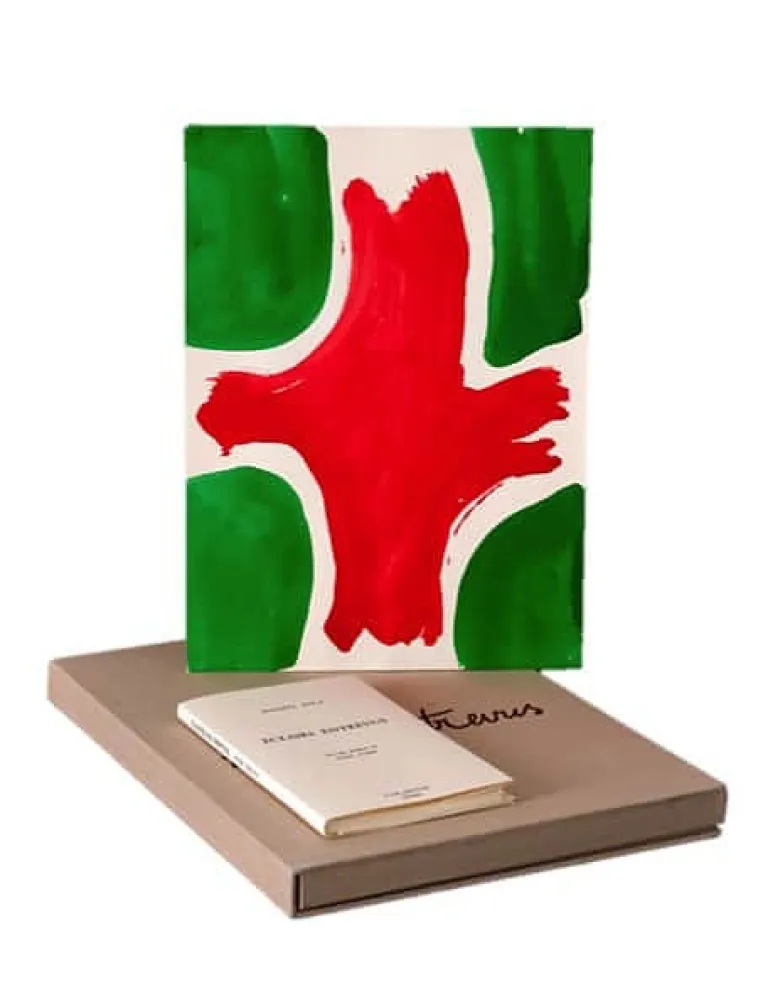 Libro Ilustrado Viallat - ECLAIRS ENTREVUS, 1991