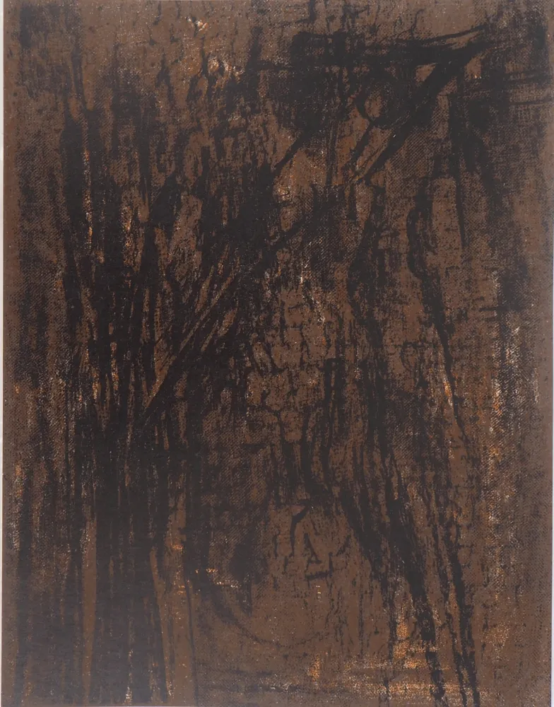 Litografía Vieira Da Silva - Terre du Portugal