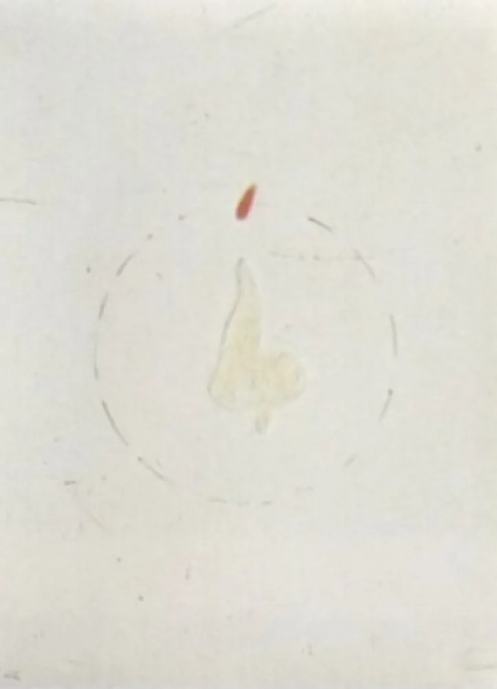 Litografía Viladecans - Entrebanc 19