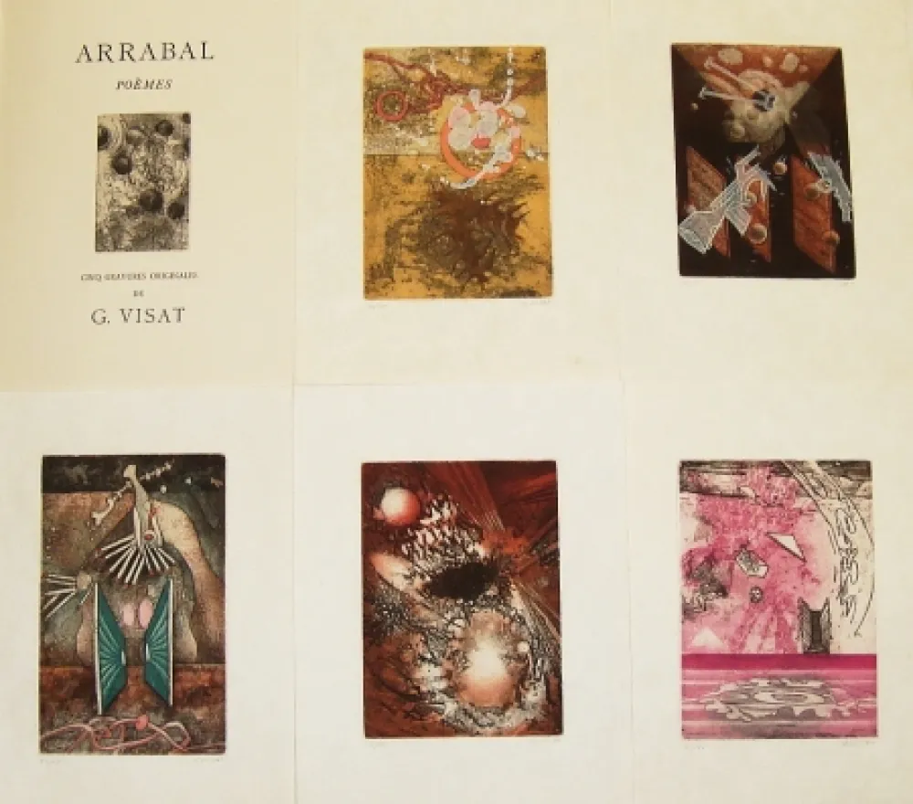 Libro Ilustrado Visat - Poèmes