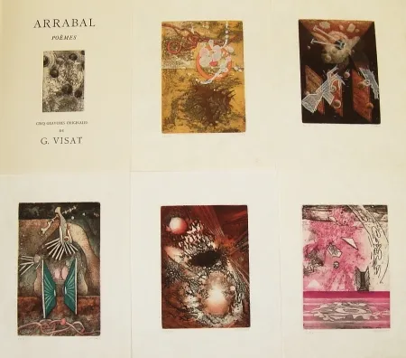 Libro Ilustrado Visat - Poèmes