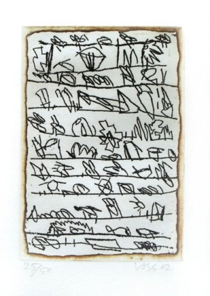 Libro Ilustrado Voss - La dispersion