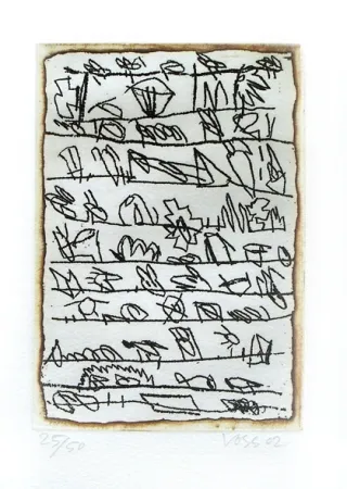 Libro Ilustrado Voss - La dispersion