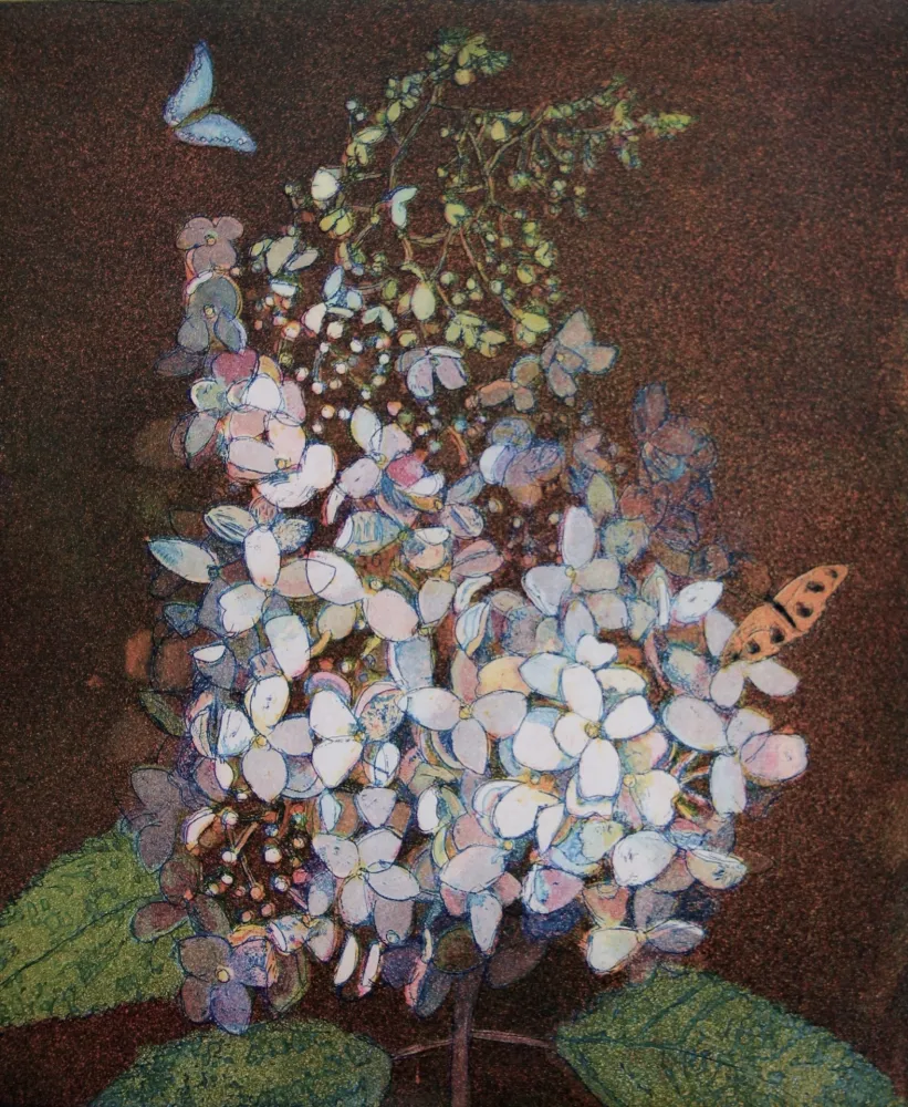 Aguatinta Votteler - Kleine weisse Hortensie