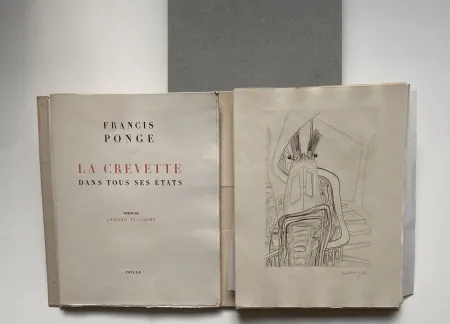 Libro Ilustrado Vulliamy - LA CREVETTE DANS TOUS SES ETATS
