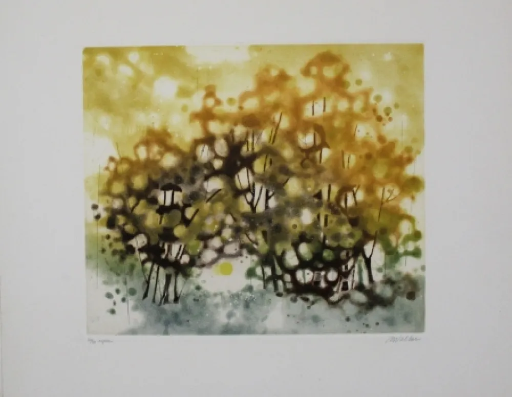 Aguafuerte Y Aguatinta Walker - Aspen