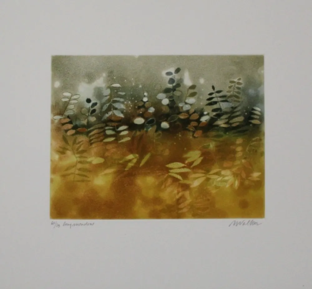 Aguafuerte Y Aguatinta Walker - Longmeadow