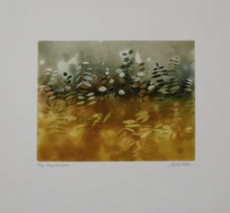 Aguafuerte Y Aguatinta Walker - Longmeadow