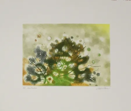 Aguafuerte Y Aguatinta Walker - Marhoha