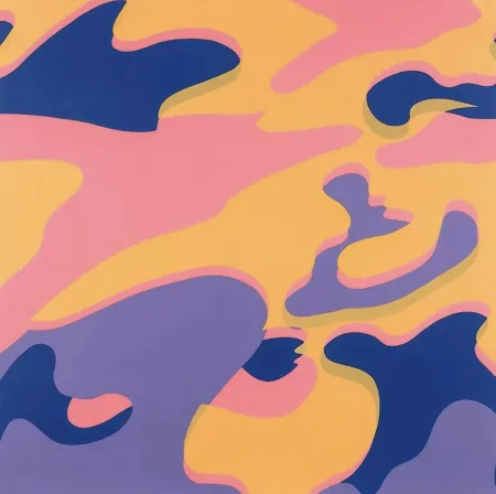Serigrafía Warhol - Camouflage F. & S. 410