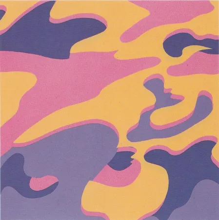 Serigrafía Warhol - Camouflage FS II.410