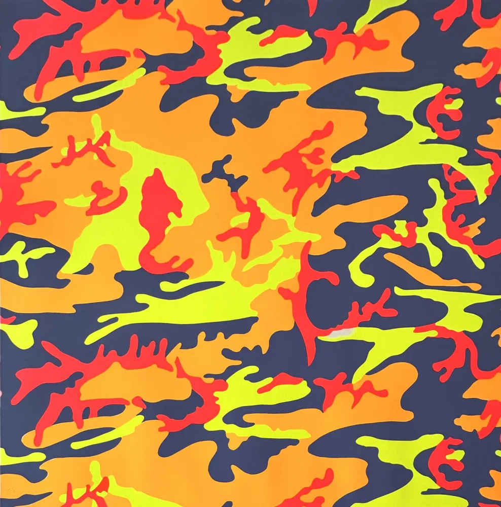 Serigrafía Warhol - Camouflage (FS II.412)