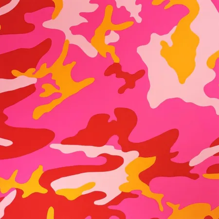 Serigrafía Warhol - Camouflage, II.408