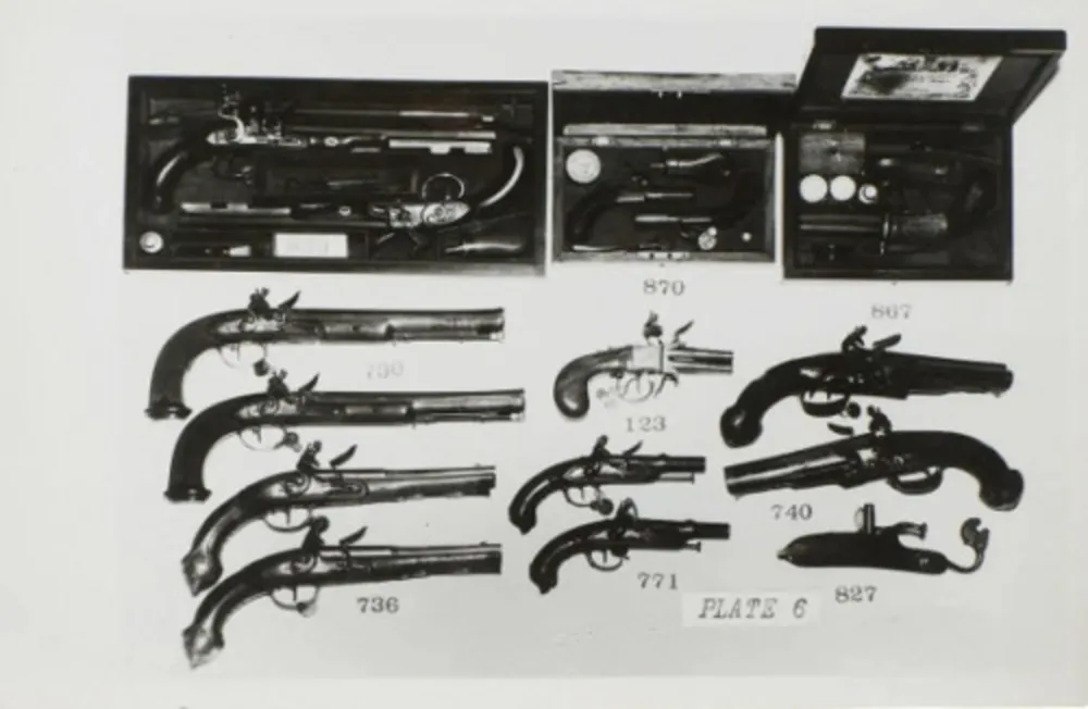 Múltiple Warhol - Gun Collection Photgraph