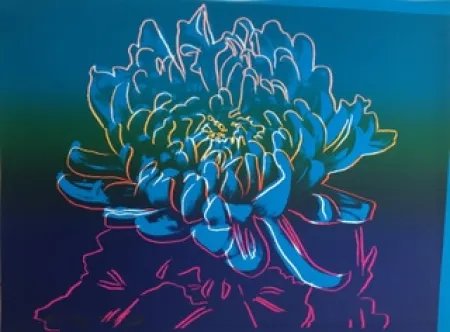 Serigrafía Warhol - Kiku