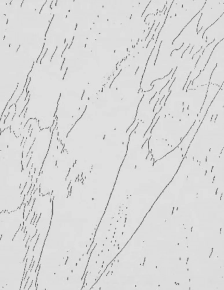 Múltiple Warhol - Mao (Unique)