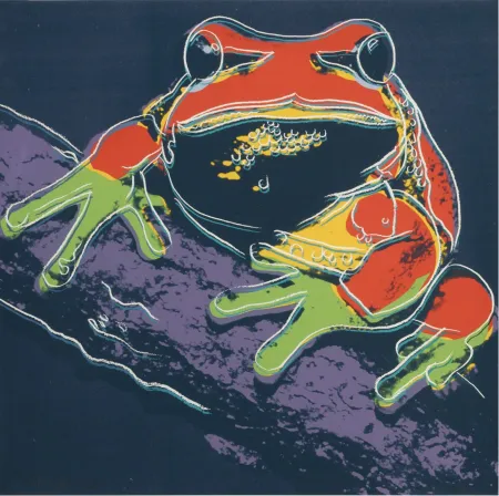 Serigrafía Warhol - Pine Barrens Tree Frog