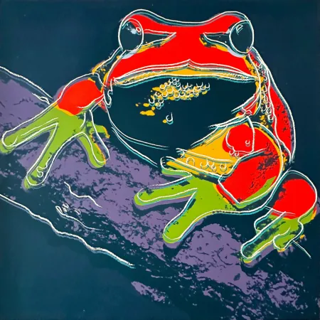 Serigrafía Warhol - Pine Barrens Tree Frog (FS II.294)