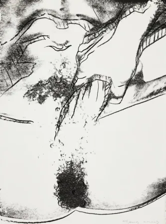 Serigrafía Warhol - Sex Parts II.177