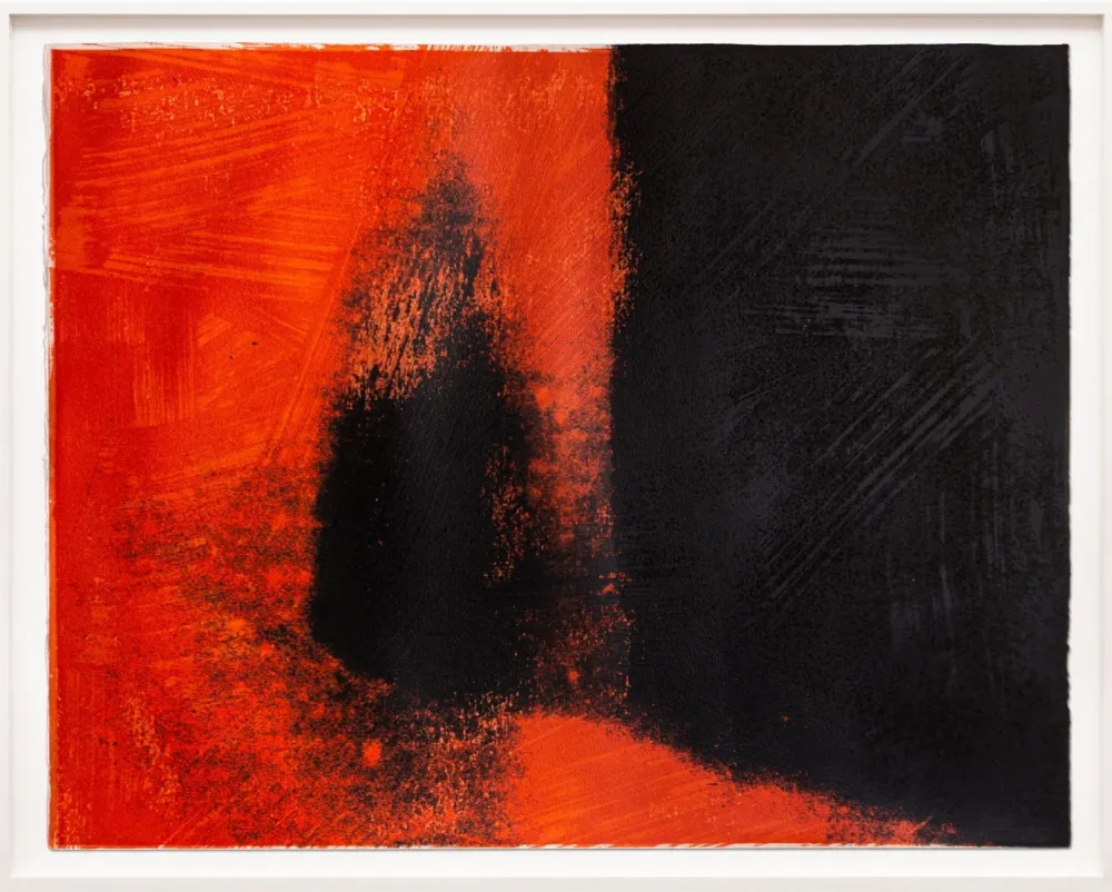 Serigrafía Warhol - Shadows I