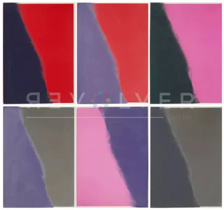 Serigrafía Warhol - Shadows II Complete Portfolio (FS II.210-215)