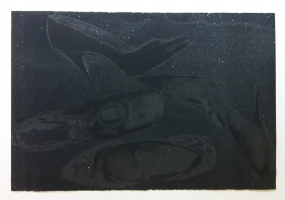 Serigrafía Warhol - Shoes II.248 (Deluxe Edition)