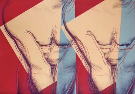 Serigrafía Warhol - Torso (Double)