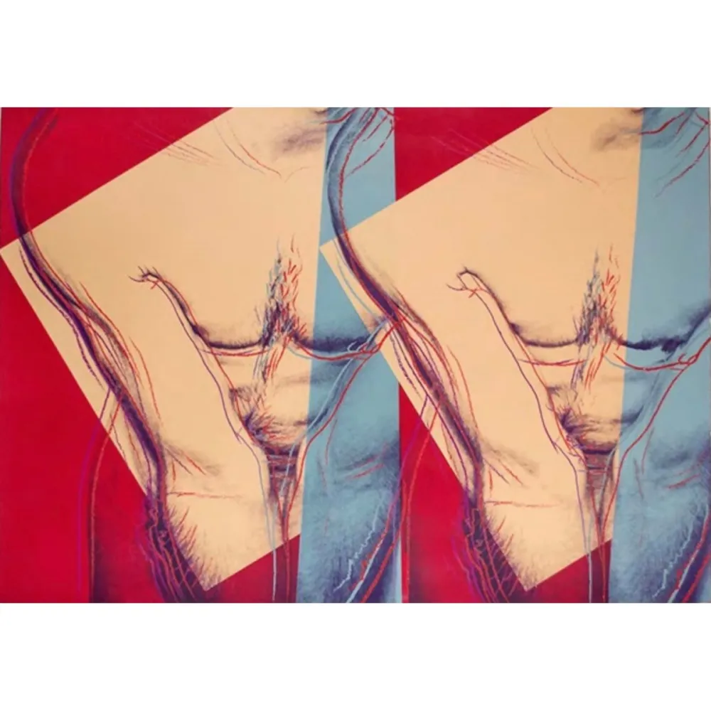 Serigrafía Warhol - Torso (Double) (FS IIIA.35)