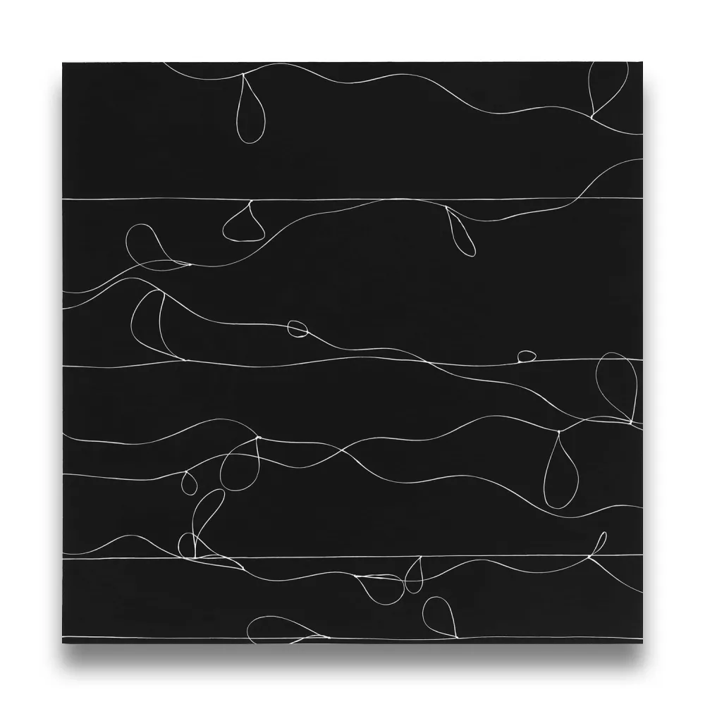 Fotografía Webber - Loops 1