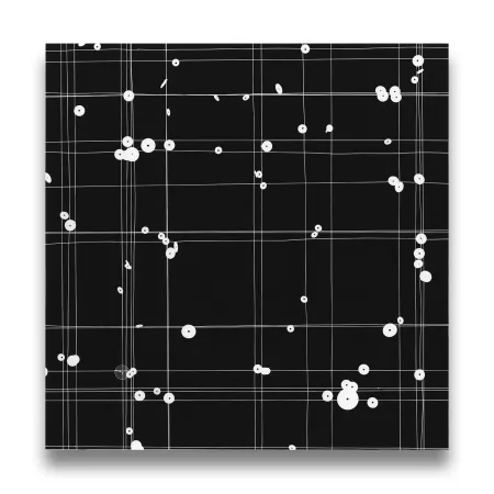 Fotografía Webber - Mid Point 2