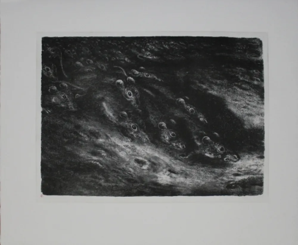 Litografía Weber - Rattenzug