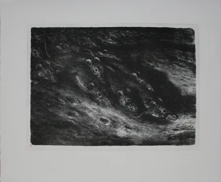 Litografía Weber - Rattenzug