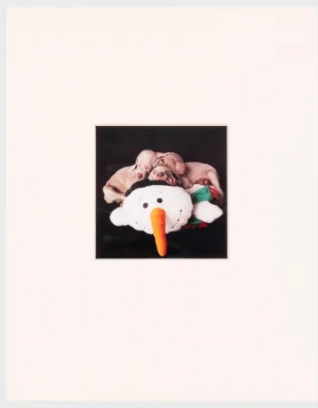 Fotografía Wegman - Three for One