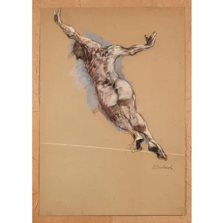 Sin Técnico Weisbuch - Le saut de l’ange