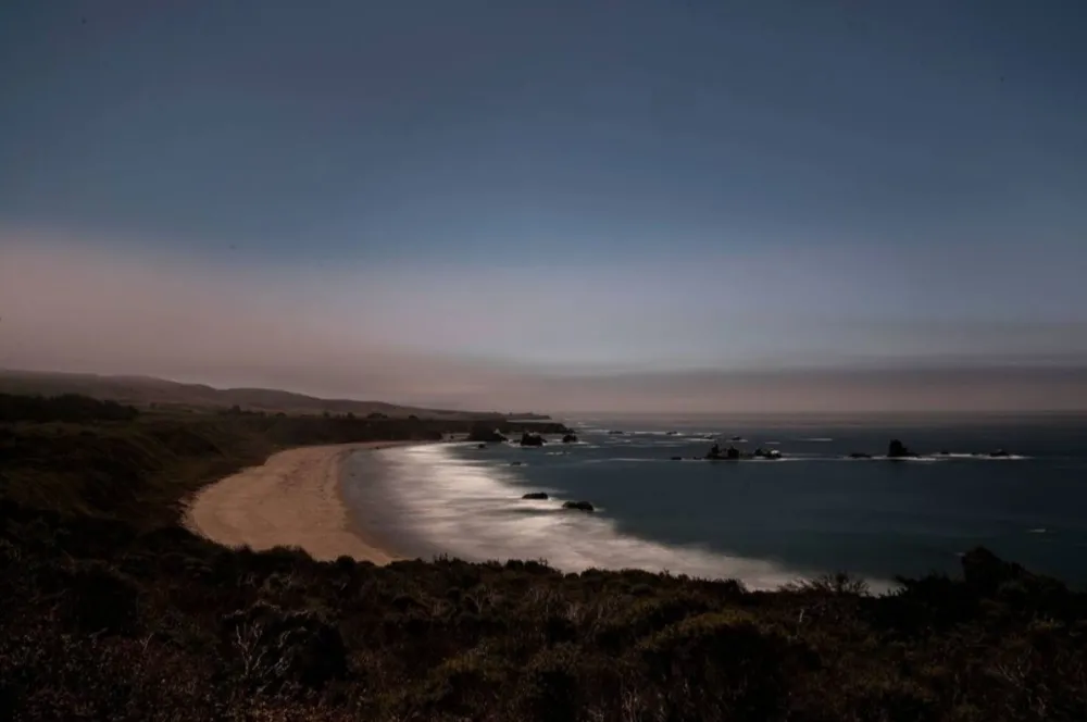 Fotografía Wesely - Arroyo Hondo Preserve