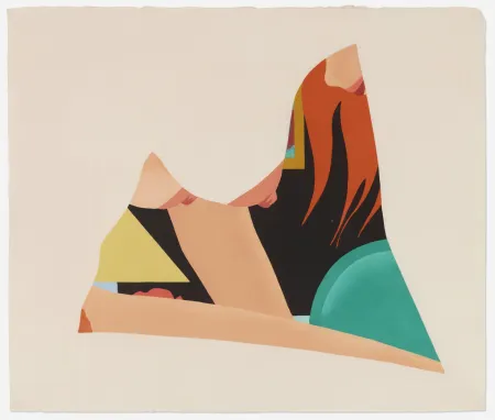 Grabado En Madera Wesselmann - Bedroom Dropout