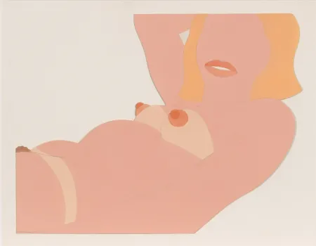 Sin Técnico Wesselmann - Great American Nude Cut Out 