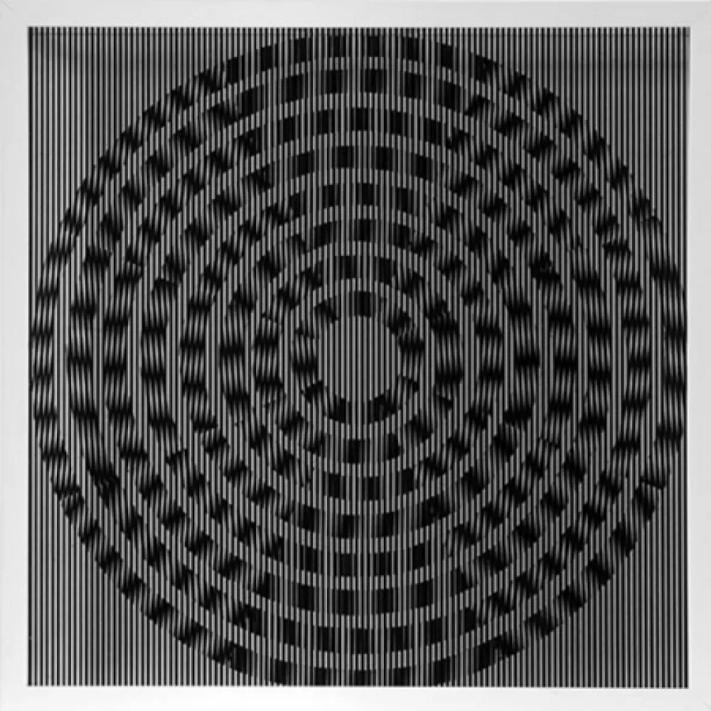 Múltiple Wilding - SBST 2823